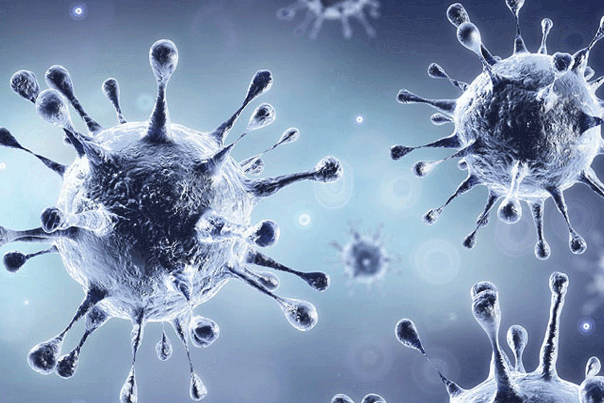 ఏపీలో భారీగా క‌రోనా కేసులు.. 24 గంట‌ల్లో 71 మంది మృతి