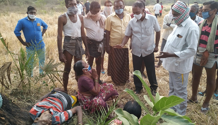తాటిచెట్టు పై నుంచి పడి గీతకార్మికుడి మృతి