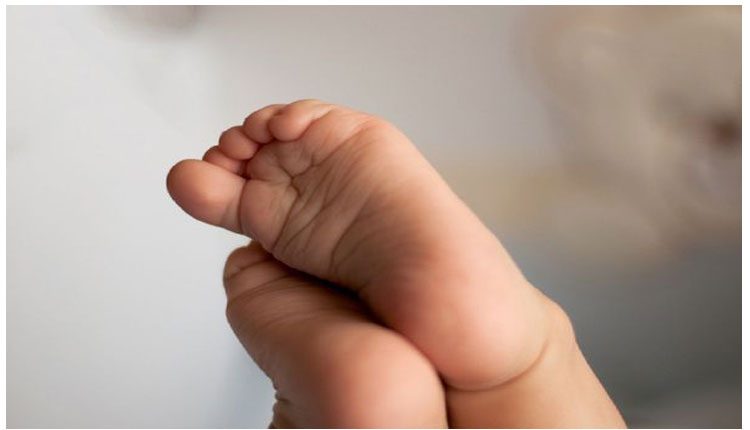 మగ బిడ్డ కోసం తహతహ :  నవజాత శిశువును అపహరించి..