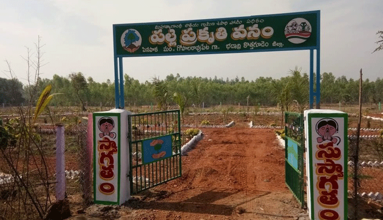 ‘పల్లె’వించిన తోగ్గూడెం..