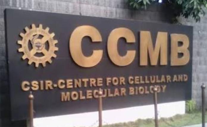 B.1.617 వ‌ల్లే సెకండ్ వేవా ? అధ్య‌య‌నం చేస్తున్న సీసీఎంబీ