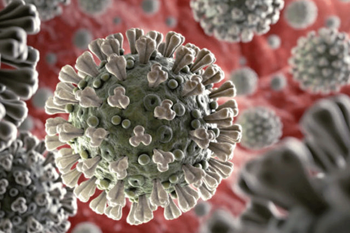 కరోనా విజృంభణ : 24 గంటల్లో రెండు రాష్ట్రాల్లోనే లక్షకు పైగా కేసులు