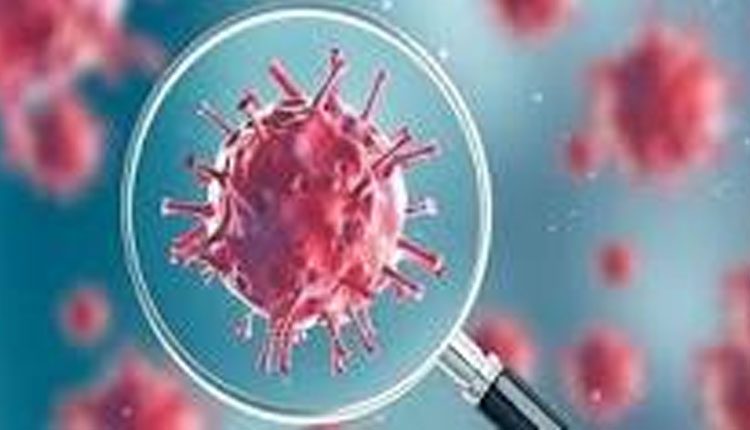 దేశంలో కొత్తగా 7219 కరోనా కేసులు