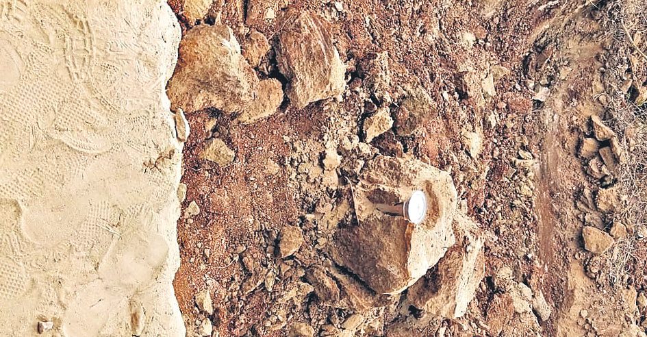 మానాల అడవుల్లో బాంబు కలకలం