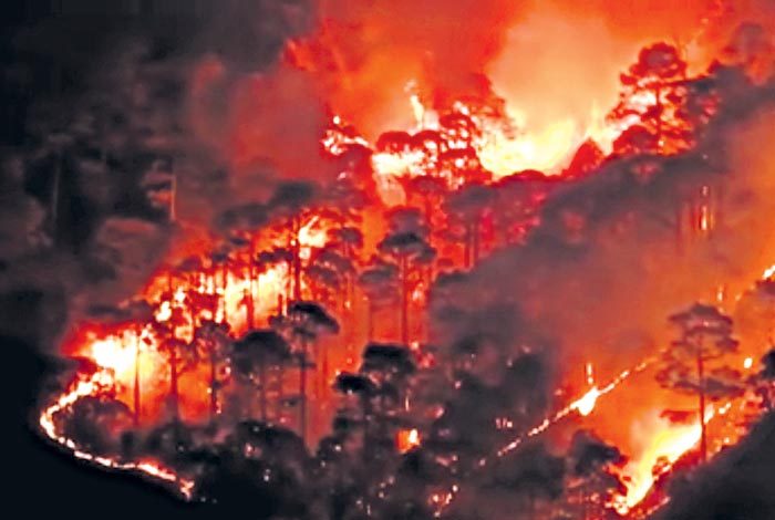 ఉత్తరాఖండ్‌లో కార్చిచ్చు.. నలుగురి మృతి