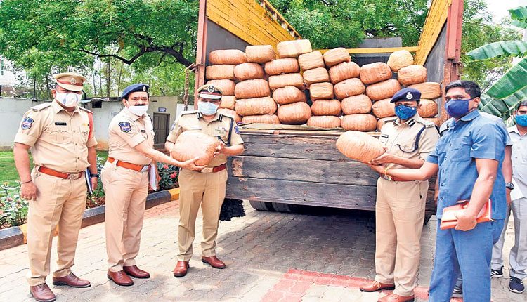 గంజాయి కోసం..లారీలో ప్రత్యేక క్యాబిన్‌