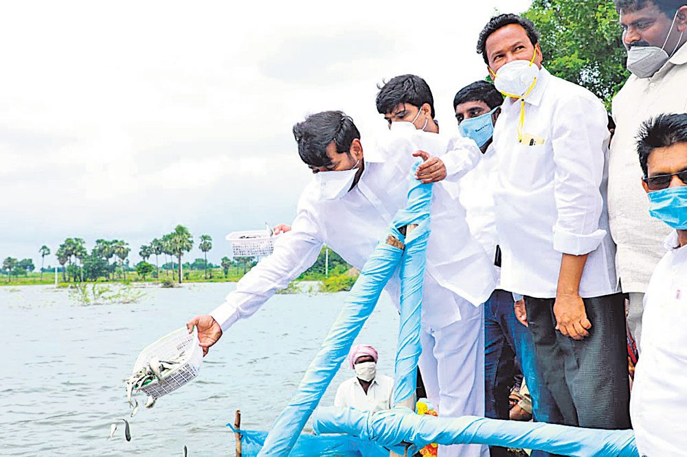 నీళ్లు లేనిచోట చేపల పంట!