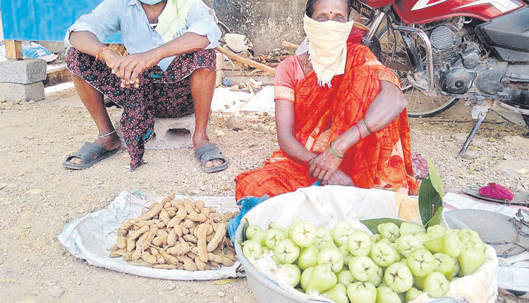 వాటర్‌ ఆపిల్‌ పండింది
