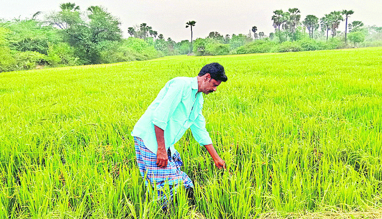 30ఏళ్లకు మోక్షం