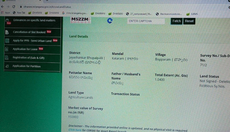 రెవెన్యూ బాగోతం