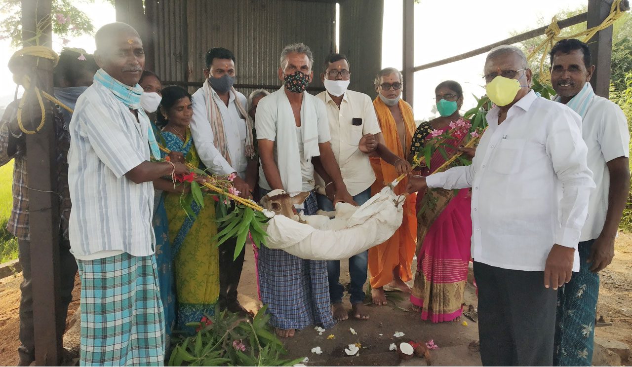 లేగదూడకు బారసాల