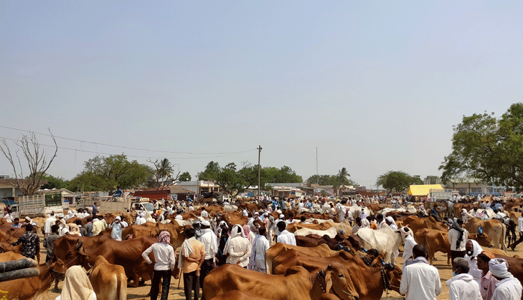 కట్టడిపై నిర్లక్ష్యం.. తనిఖీలు శూన్యం