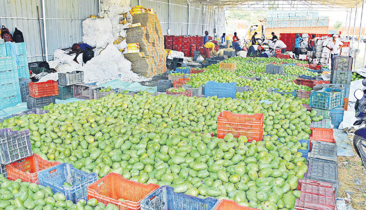 జగిత్యాల మామిండ్ల ఖిల్లా