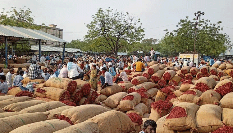 పోటెత్తిన మిర్చి