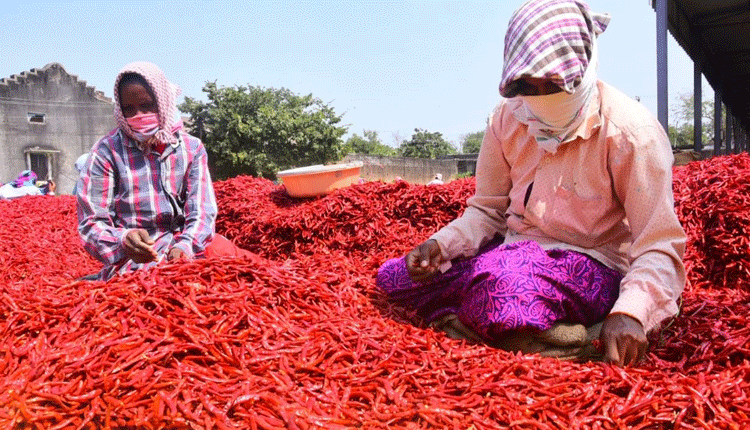 విదేశాలకు మన తేజం