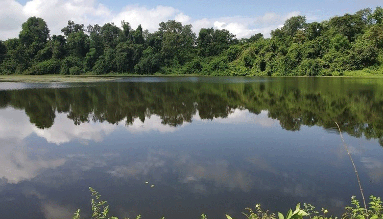 చెరువులు నిండుగా..