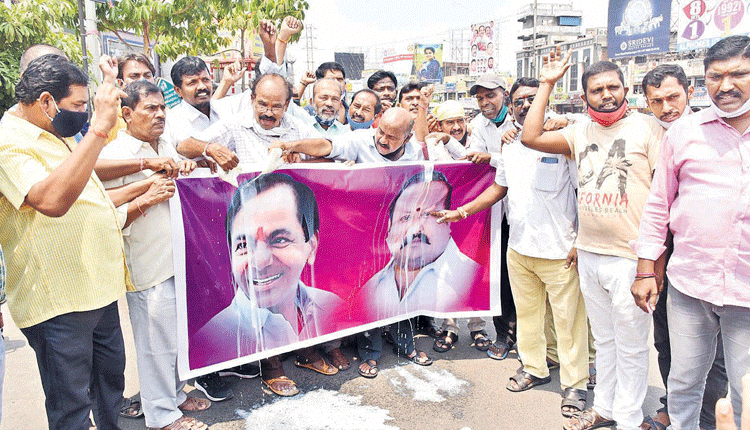 ఫ్రీ కరెంట్‌.. సంబురం