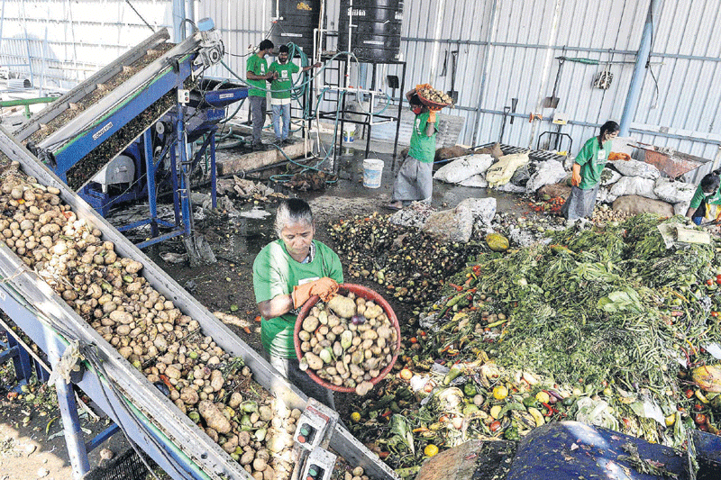 కరీంనగర్‌ లో బయోప్లాంట్స్‌