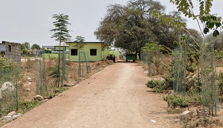 మెరిసిన మాదాపూర్‌