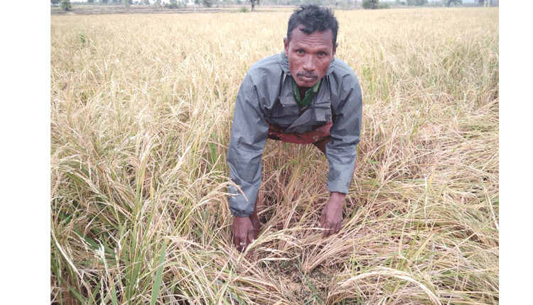 మహబూబాబాద్‌ జిల్లాలో వడగండ్ల వాన