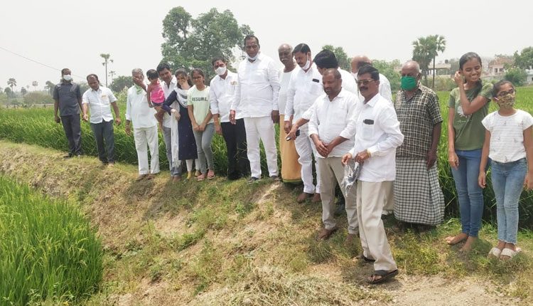 ప్రతి గింజను కొనుగోలు చేస్తాం : మంత్రి మల్లారెడ్డి