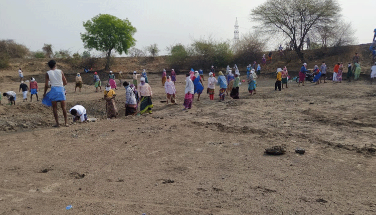 ఊపందుకున్న ‘ఉపాధి’ పనులు