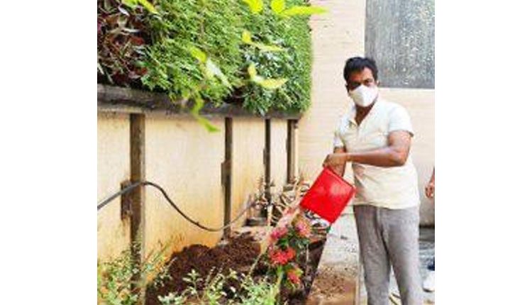 గ్రీన్‌ ఇండియా ఛాలెంజ్‌ : మొక్కలు నాటిన ఎమ్మెల్యే మర్రి