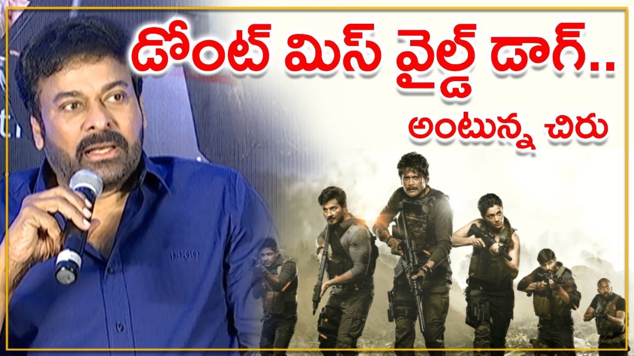 Wild Dog Appreciation Press Meet