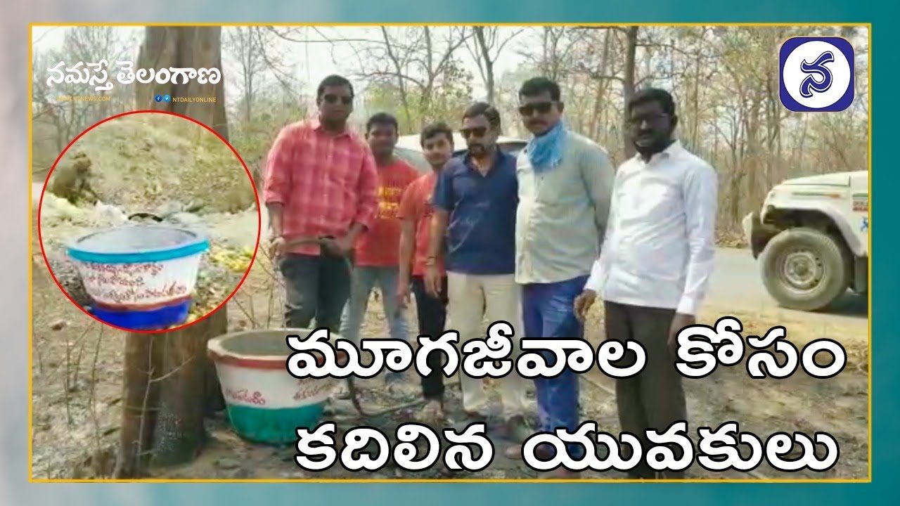 మూగజీవాల దాహార్తి తీర్చేందుకు నీటితొట్టిలను ఏర్పాటు చేసిన ఎన్నారై