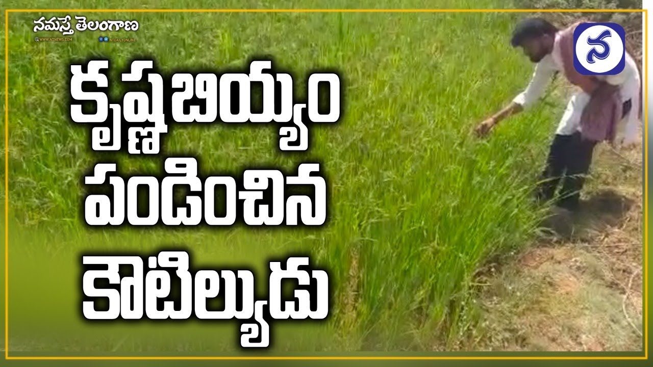 వేదాలతో వరి సాగు ఎలాగో తెలుసా?