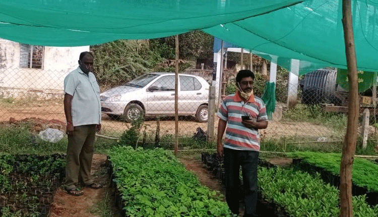 నర్సరీలపై ప్రత్యేక శ్రద్ధ చూపాలి