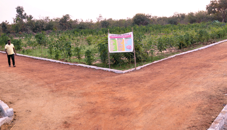 కంబాలపల్లి కష్టం తీరింది