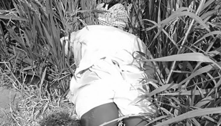 కరెంట్‌ షాక్‌తో రైతు మృతి