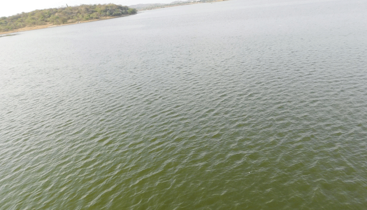 నిండుకుండలా హల్దీవాగు