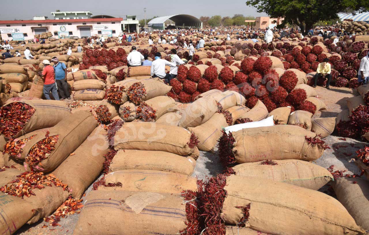 వరంగల్‌లో రికార్డు ధర పలికిన మిర్చి.. ఎంతంటే..?