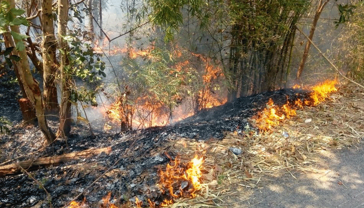 ఎరగళ్లతో భద్రం!