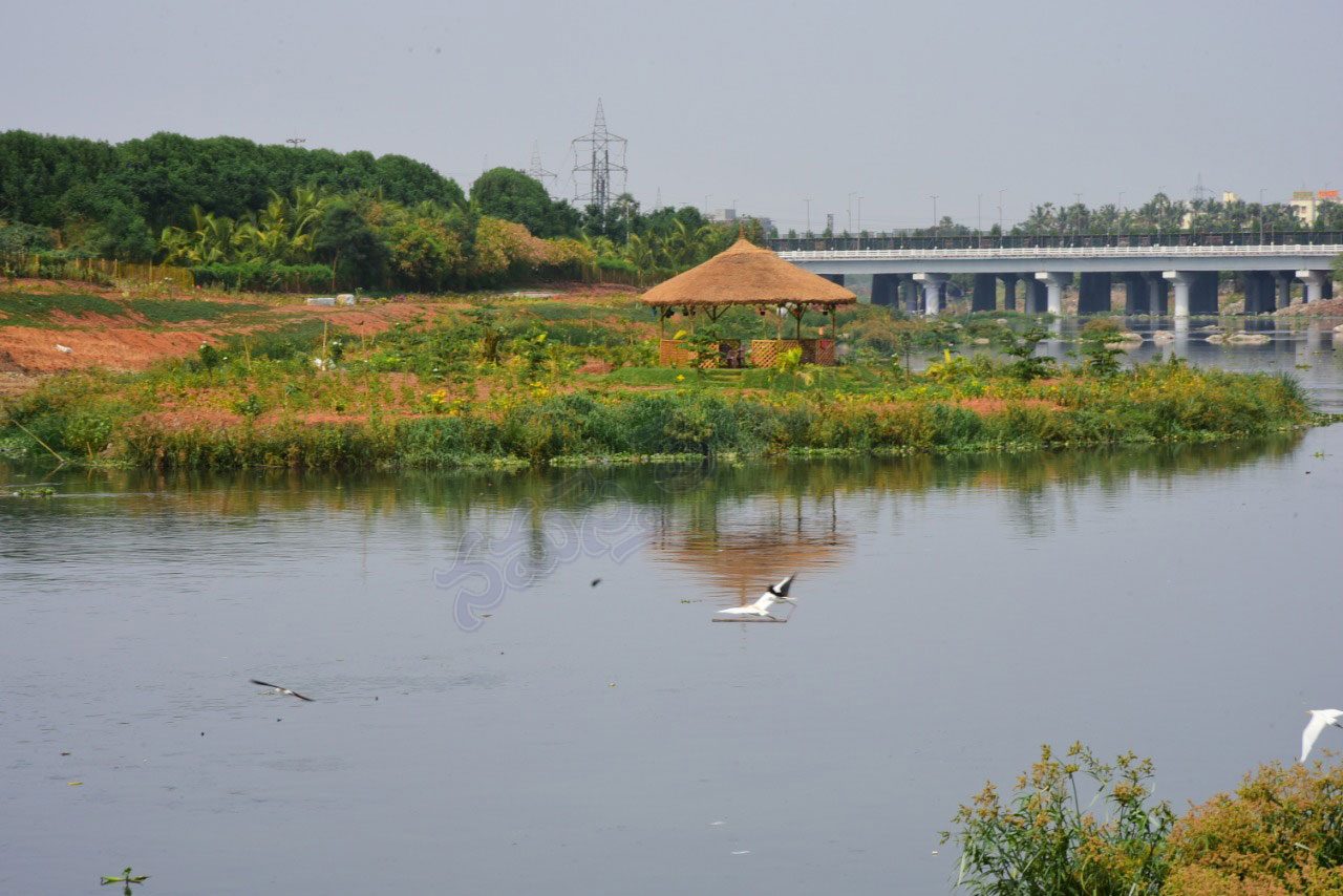 Mossey river | మూసీ హైడ్రాలిక్స్‌ మోడల్స్‌ టెండర్‌ గడువు పొడిగింపు