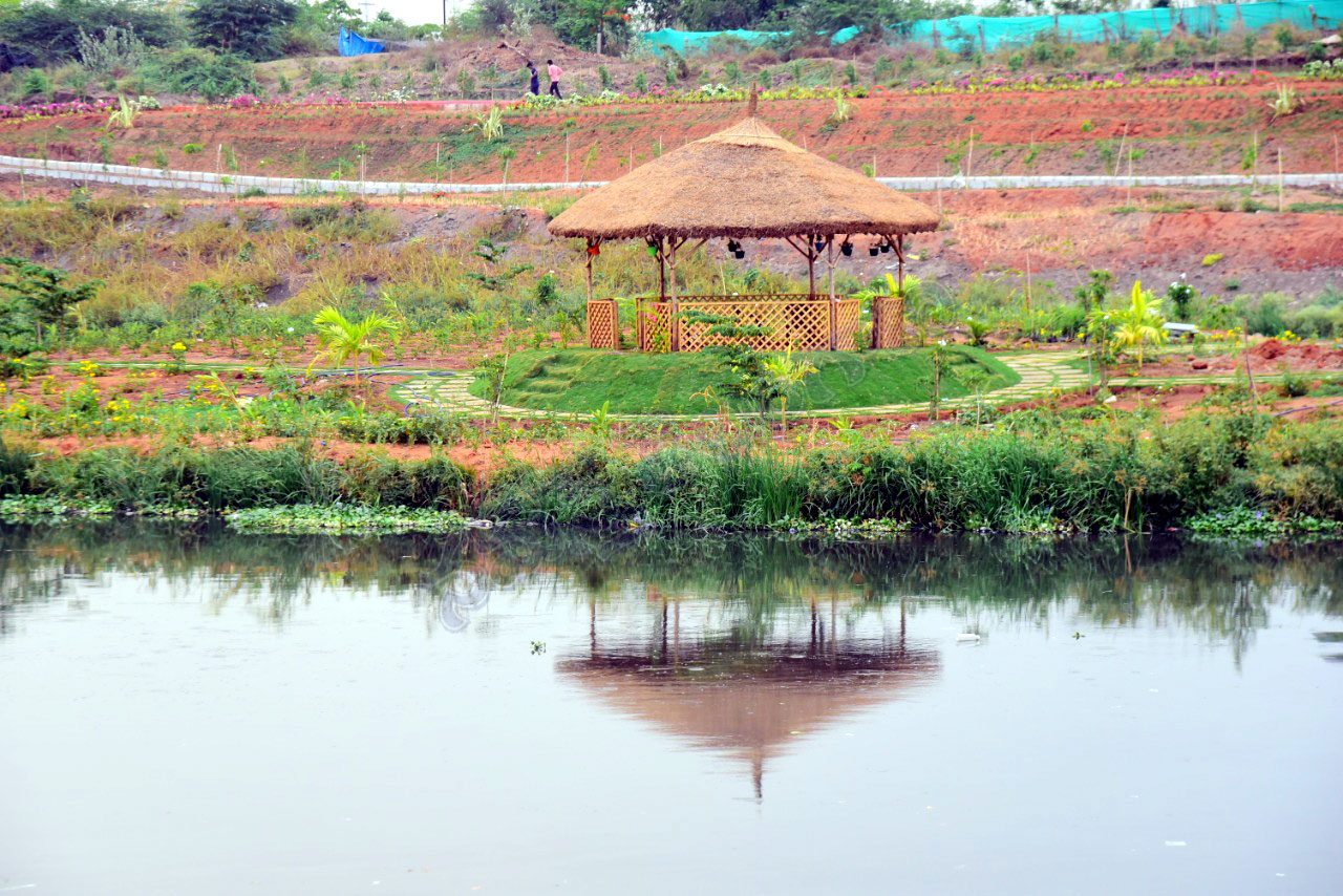 నాడు కంపు.. నేడు ఇంపు : మూసీ అందం చూశారా
