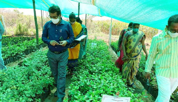 ప్రభుత్వ లక్ష్యానికి అనుగుణంగా పని చేయాలి