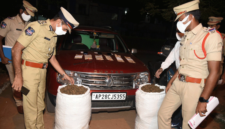100 కిలోల గంజాయి పట్టివేత