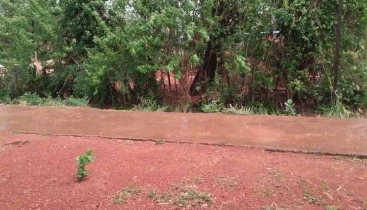 ములుగు జిల్లాలో ఈదురు గాలులతో కూడిన వర్షం