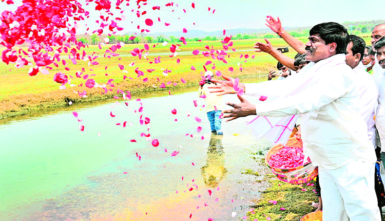 పరవళ్ల పండగ