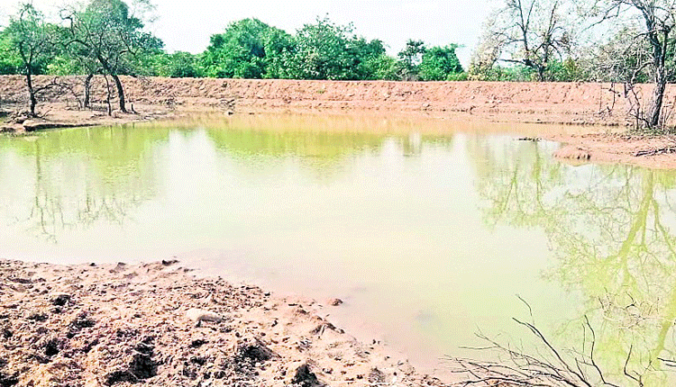 జీవాలకు జలనిధులు