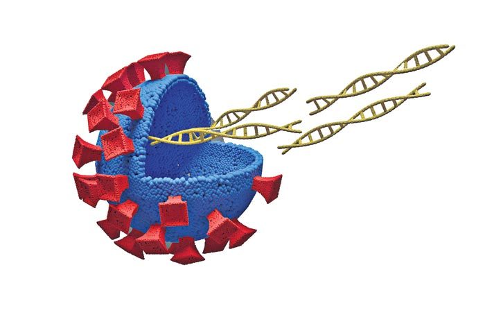 డబుల్‌ నుంచి ట్రిపుల్‌ మ్యుటెంట్‌