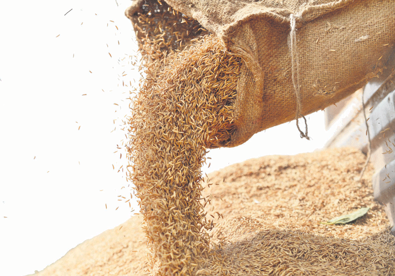 యాసంగి పంట రూ. 862.88కోట్లు