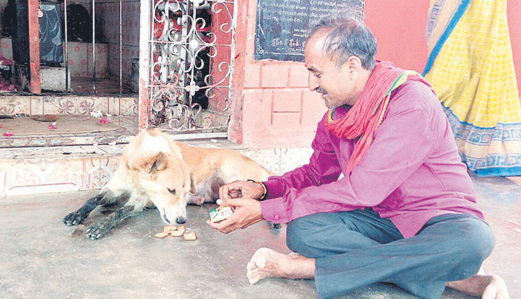 అంజన్న సేవలో శునకం