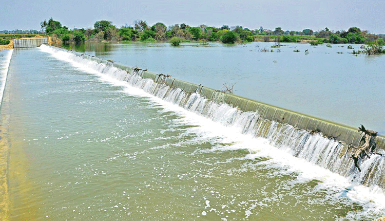 మంజీర దిశగా ..  గంగమ్మ పరుగులు