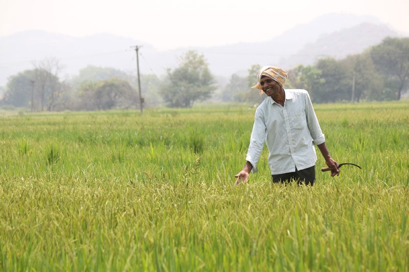 TS Cabinet : రైతులకు శుభవార్త.. ఆగస్టు 15 నుంచి రుణమాఫీ