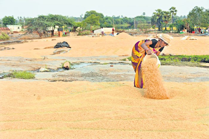సన్నాలకు దొడ్డ డిమాండ్