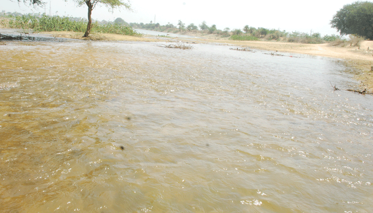 గంభీరావుపేటకు కాళేశ్వర గంగ